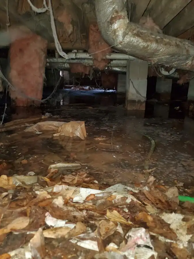 Crawl space flood assessment for Leak Detection & Repair in Vineland