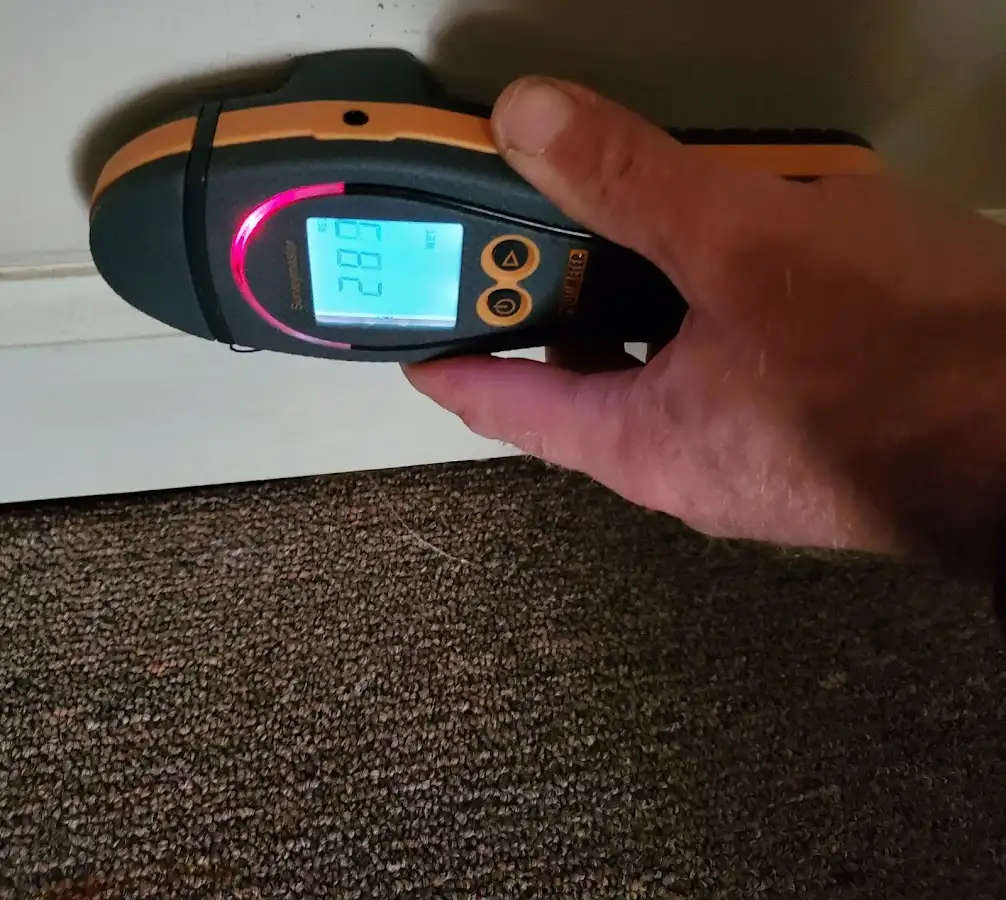 Moisture detection at baseboard during Sewage Cleanup & Sanitation in Vineland
